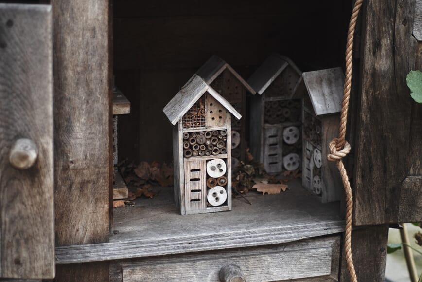 blaa nederland1_1.jpg