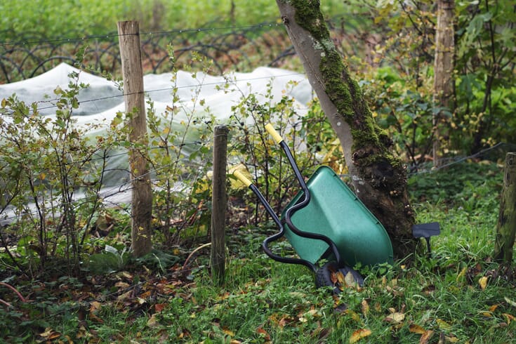 Bli kjent med selvbergeren