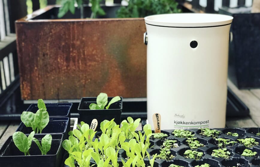 Begynn med kjøkkenhage nå-LOOP.jpg