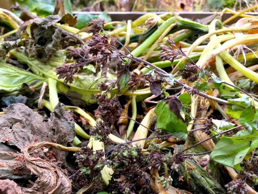 Begynn med kjøkkenhage nå6.jpg