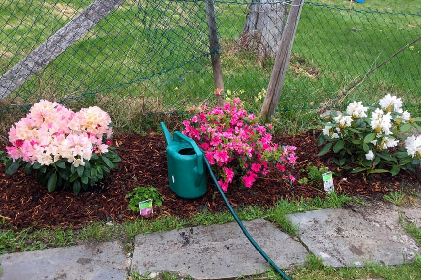 Foto:Morten Skogly. Under disse ligger det tre bøtter med bokashi.