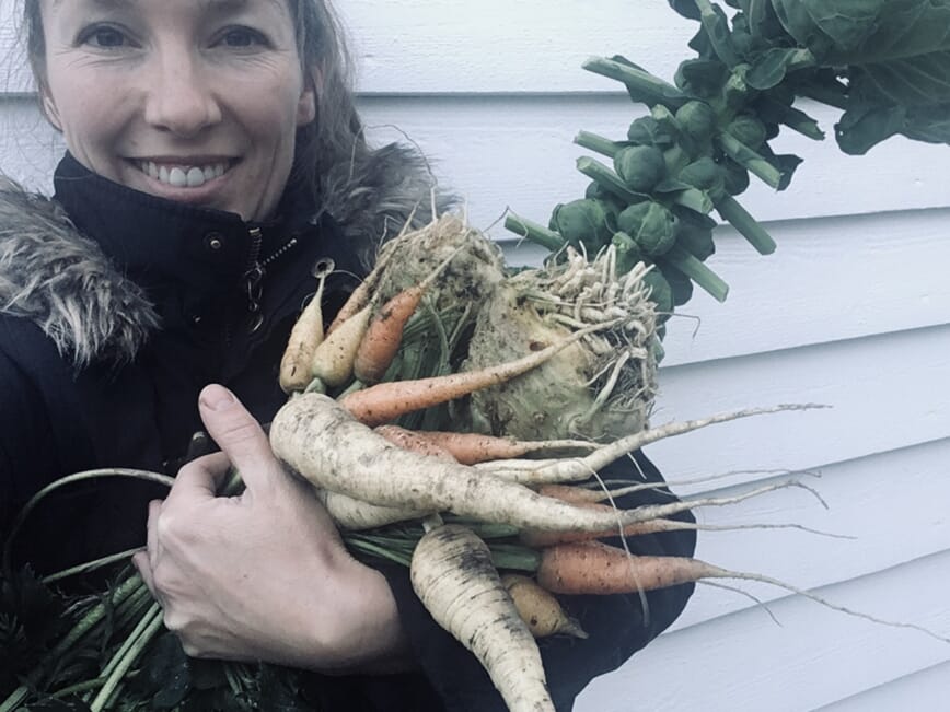 Avling rotgrønnsaker i januar