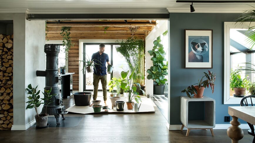 Plantebonanza - Anders Røyneberg, foto Inger Marie Grini