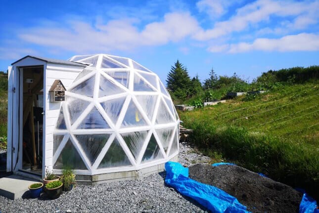 En vakker drivhusdom som plantene trives inni.