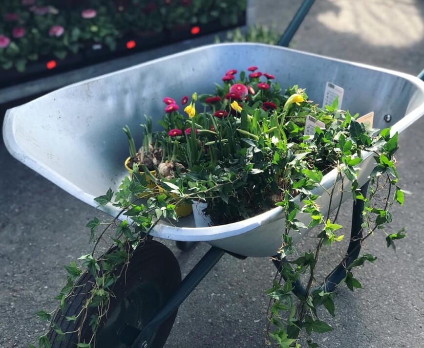 bokashi i blomsterbedet 2.jpg