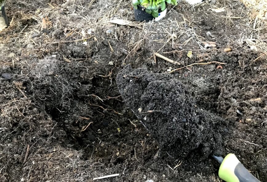 bokashi i blomsterbedet 8.jpg