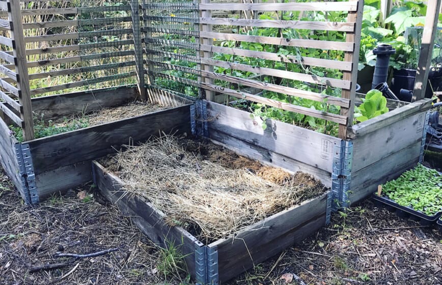 dette sår vi i august bokashi 2.jpg