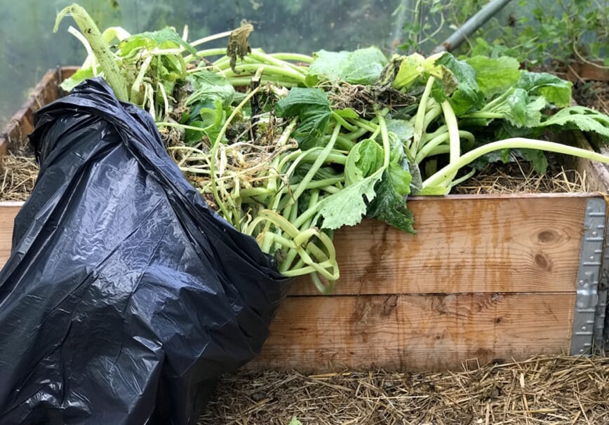 Fermentert hageavfall våren etter bokashi microferm 4.jpg