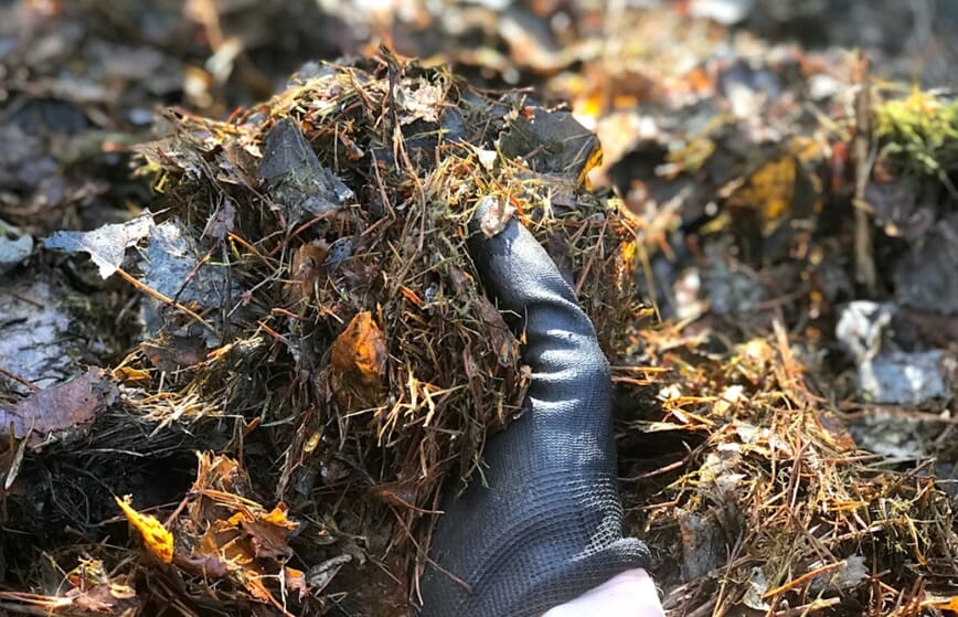 Fermentert hageavfall våren etter bokashi microferm 5.jpg