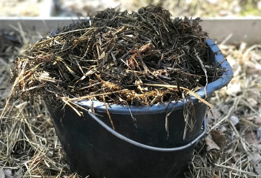 Fermentert hageavfall våren etter bokashi microferm 6.jpg