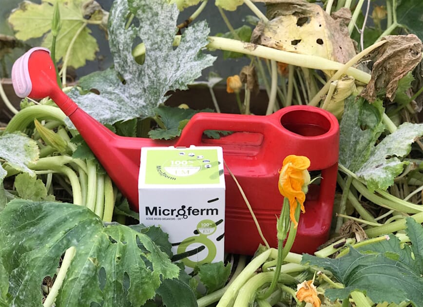 Hagekompost med Microferm i sekk er en god løsning for planteavfallet for mange huseiere.