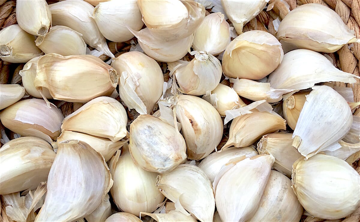 Dyrke Hvitlok Inne () Dyrke Hvitlok Inne