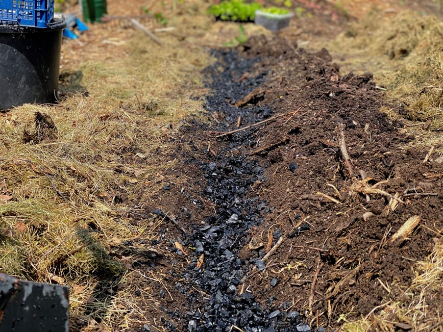 Graver kullet ned i grunne fårer mellom rader jeg skal plante purreløk