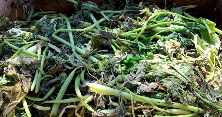 Microferm: fermentering av hagekompost