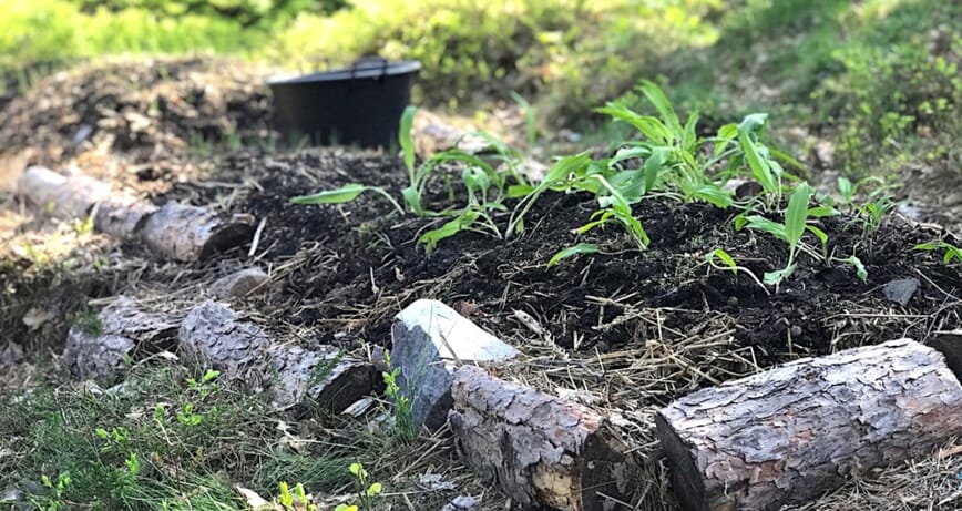 nye bed med bokashi 2.jpg