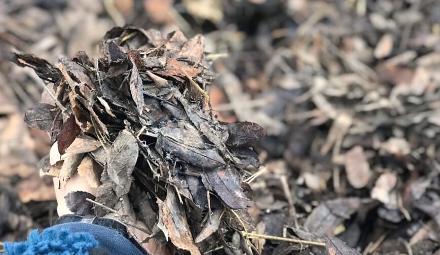 Nye bed med bokashi 5.jpg