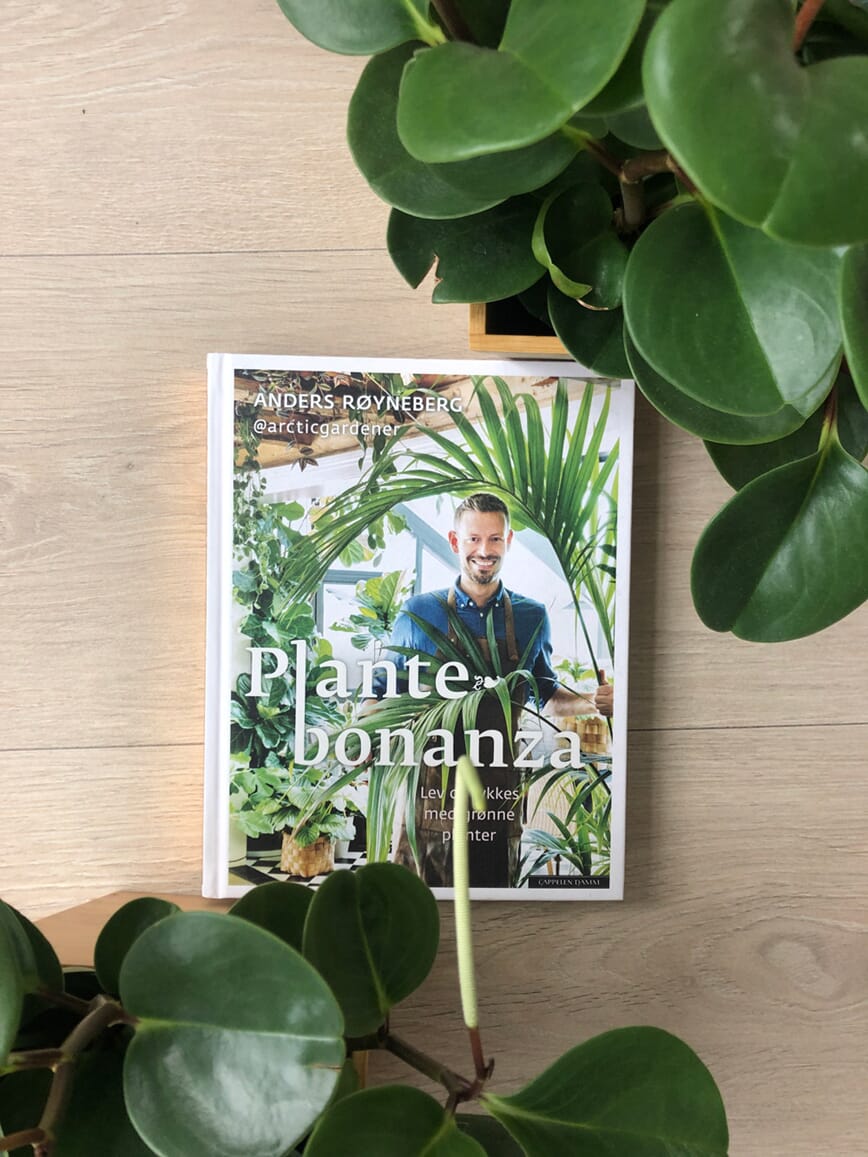 Plantebonanza, lev og lykkes med grønne planter