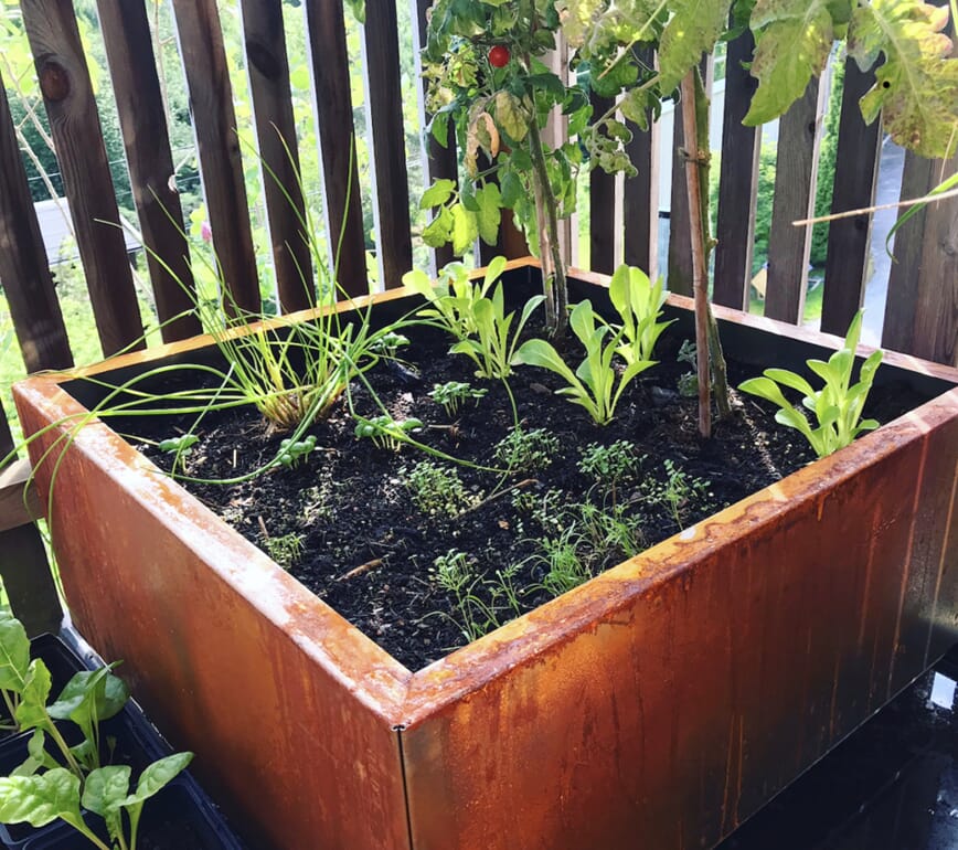 Plantevalg på balkongen bokashi 2.jpg