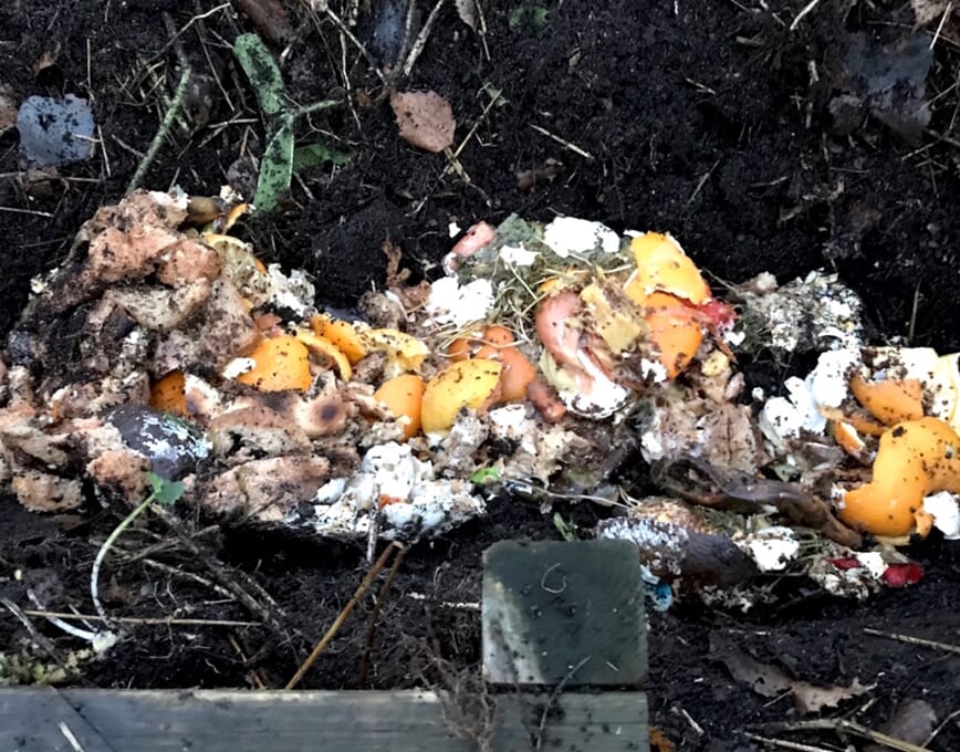 quickfix kjøkkenhage bokashi 6.jpg