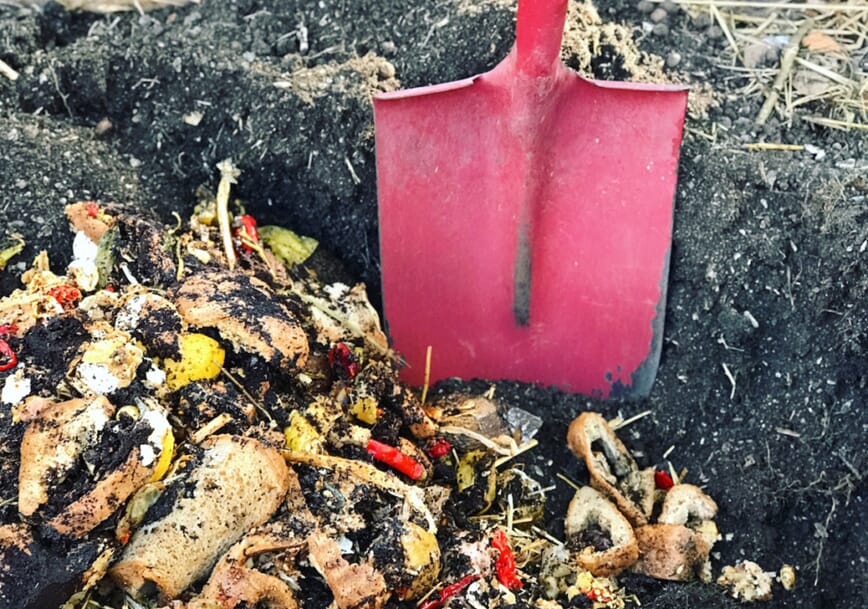 Seriedyrking med Bokashi 2.jpg