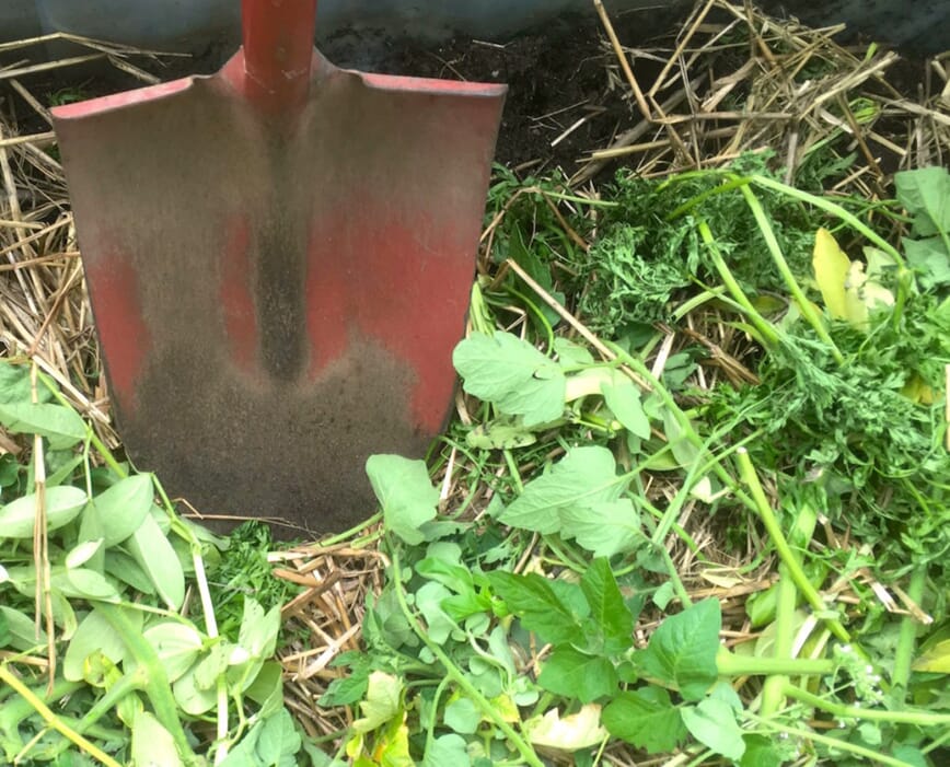 Seriedyrking med Bokashi 3.jpg