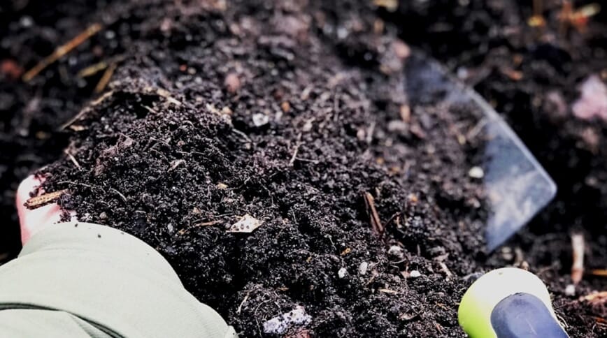 Seriedyrking med Bokashi 4.jpg