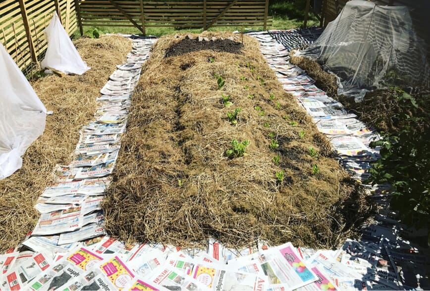 treflis i hagen bokashi 4.jpg