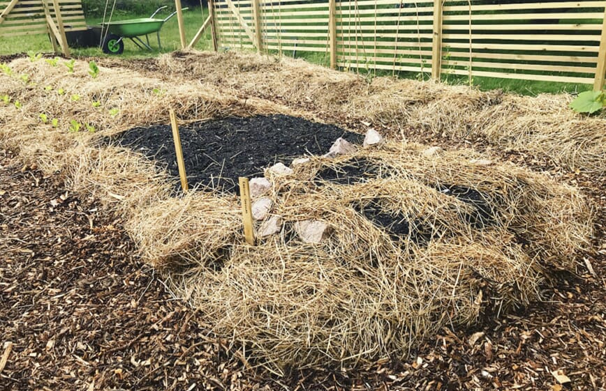 treflis i hagen bokashi 5.jpg