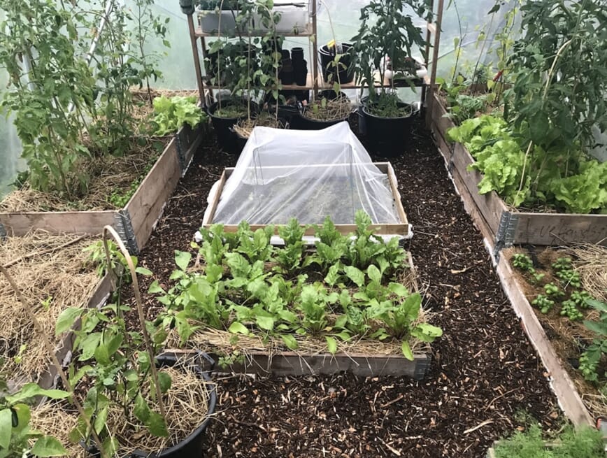 treflis i hagen bokashi 6.jpg