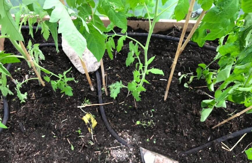 Vanne med svetteslange bokashi 6.jpg