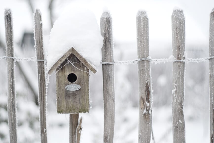 vinter observasjon2.jpg