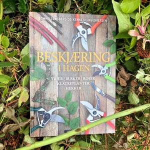 Beskjæring i hagen