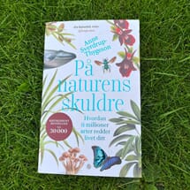 På naturens skuldre