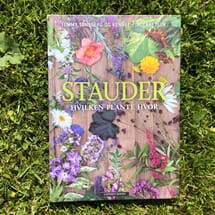Stauder - hvilken plante hvor